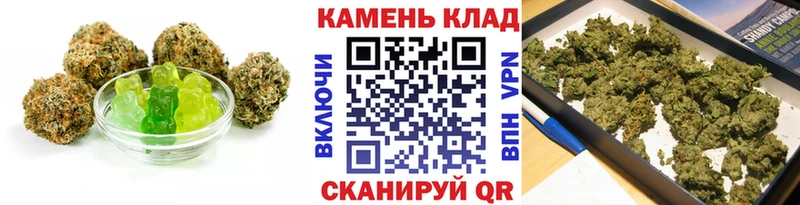 где можно купить наркотик  Новосокольники  Еда ТГК марихуана 