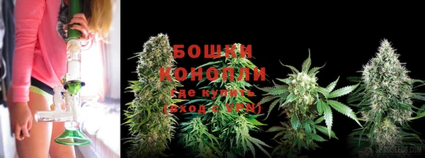 трава Волоколамск