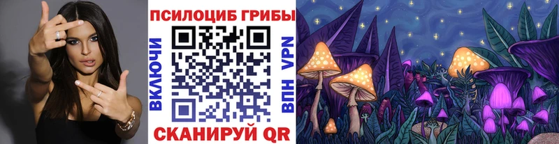 что такое наркотик МЕГА Галлюциногенные грибы Cubensis Новосокольники