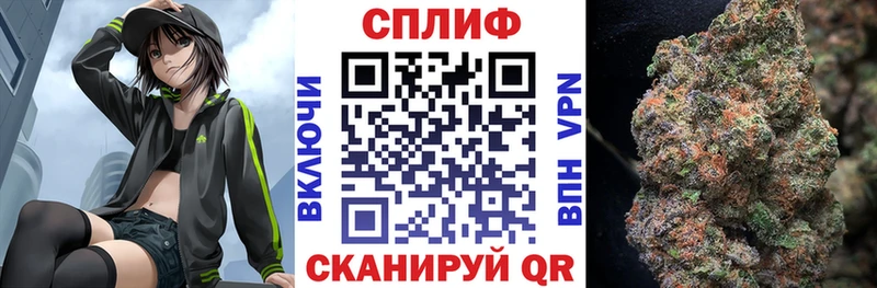 мега сайт  Новосокольники  Каннабис сатива  цены наркотик 