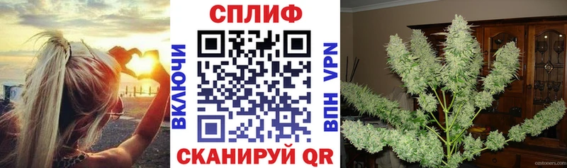 Канабис сатива Новосокольники